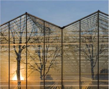 Venlo Chống gió mạnh Nhà kính polycarbonate chống thấm tuyết